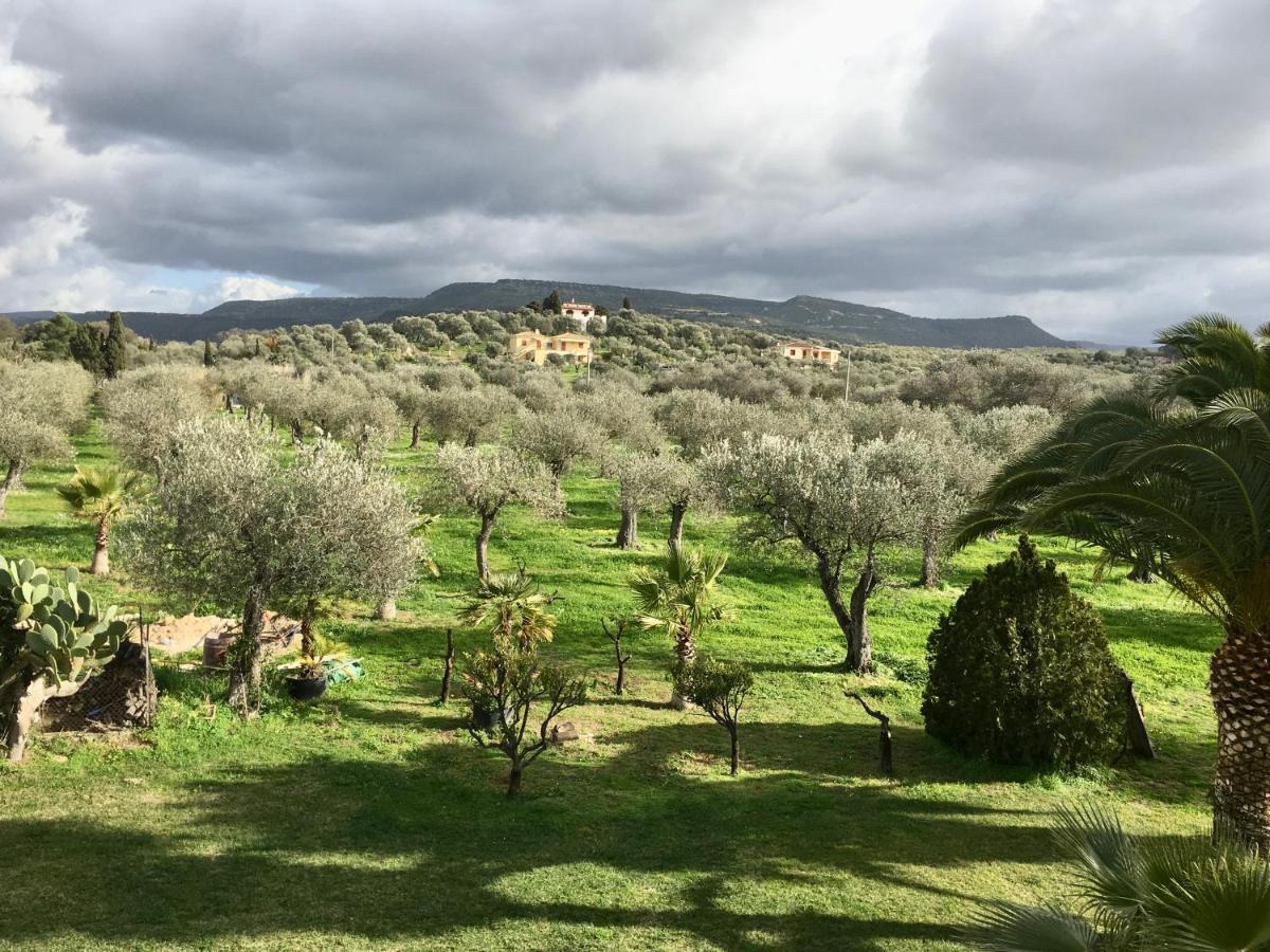 Villa Culla Di Jana 알게로 외부 사진